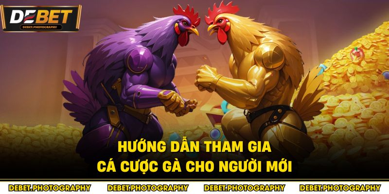 Hướng dẫn tham gia cá cược gà cho người mới